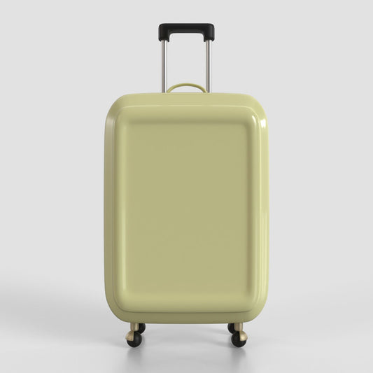 Custom Luggage