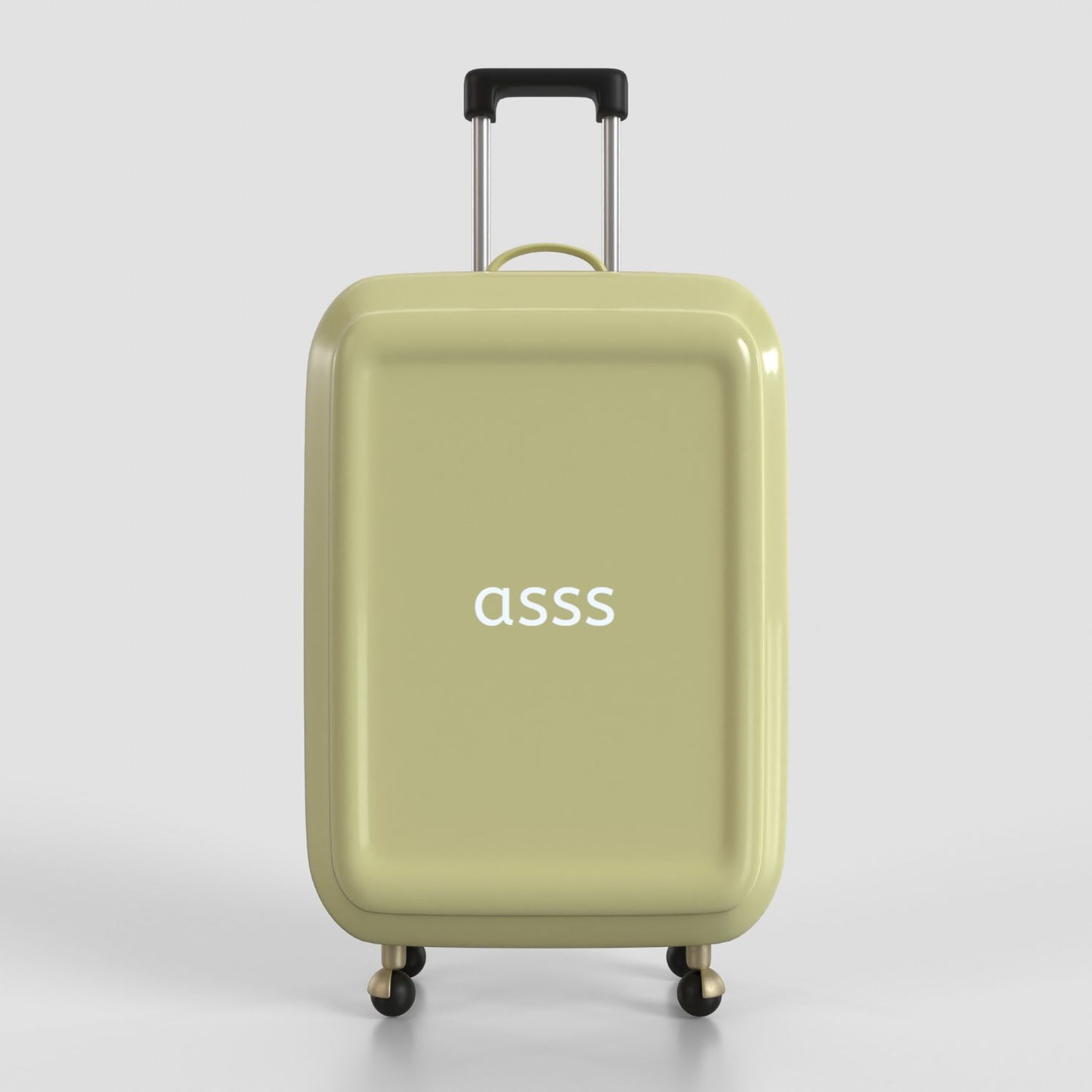 Custom Luggage 252